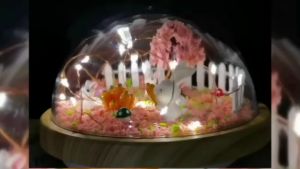 Đèn Ngủ Gia Đình Nhà Thỏ Đồ Chơi Diy Thủ Công Sáng Tạo Đèn Decor Trang Trí Quà Tặng Sinh Nhật Dịp Lễ Đặc Biệt