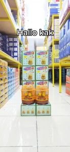 Mainan Anak Burung Dalam Sangkar Sensor Suara Musik Mainan Anak Laki Laki dan Perempuan