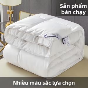 Chăn Bông Lông Vịt Không May