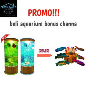 aquarium mini tabung