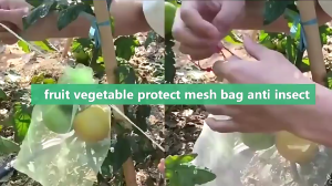 Pull String Nylon Fruit Protect Net Bag Anti Bird Fruit Fly Insect