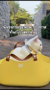 กกระบะทรายแมวพกพา พกพาได้ มีหูหิ้ว ห้องน้ำพกพา พกพาสะดวก สามารถมือถือได้ สามารถกันน้ำได้ พร้อมส่ง