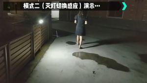 Malaysia Stock New Waterproof Solar LED Lamp Garden Landscape Decorative Clip Lamp Wall Hanging Solar Light Home Outdoor Garden Solar Light