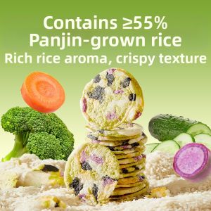 BESTORE | Healthy Crispy Rice Biscuit