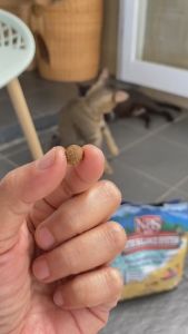 NEW!! MAKANAN KUCING PREMIUM NUTRI BALANCE SYSTEM FRESHPACK 1KG