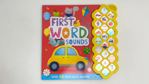 First Word Sound Book To Learn With 22 Buttons (Hardcover)