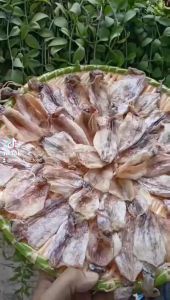 KHÔ MỰC LOẠI NHỎ NGON NGỌT- ĐẶC BIIỆT KHÔNG MẶN KHÔNG ĐEN trọng lượng 1KG 500GR 100GR