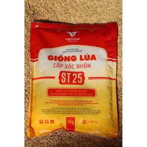 Túi 1Kg Giống Lúa St25 Hàng Chuẩn Hồ Quang