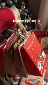 12Pcs Paper Bag Christmas Prints Paper Bag Christmas Gifts Party Christmas Gift 21x15x8cm