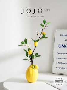 Bình Hoa Quả Hiện Đại Phong Cách Bắc Âu Trang Trí Nhà Bằng Gốm Sứ Bình Hoa Quả Mô Phỏng Trang Trí Nhà Trang Trí Phòng Khách