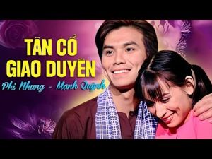 Set 2 cuốn băng Cassette Tân cổ Phi Nhung Mạnh Quỳnh