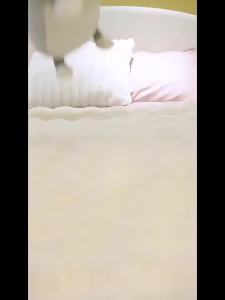 Genuine Cat and Mouse Deformation Talking Tom Cat round Long Pillow Jerry Mouse Plush Doll Sleeping Cute Doll