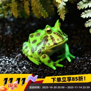 Solid Animal Model Realistic Simulation Amphibian Toy Cognitive Learning Gift Decorative Bichir Wealth Attracting Frog Display