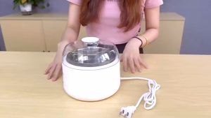 Kesunue Household Mini 304 Stainless Steel Yogurt Maker: 1L Capacity Constant Temperature Fermentation White Kitchen Appliance