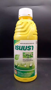 ยกลัง 12 ขวด ร้านบรา สารจับใบ ชนิดเข้มข้น สูตรทนฝน ปรับสภาพน้ำ ลดต้นทุน