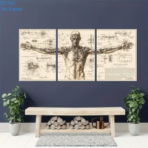 3 Pieces of Da Vinci Vitruvian Retro Anatomical Canvas Posters Suitable for Office Decoration 2D Flat Printing Frameless Painti
