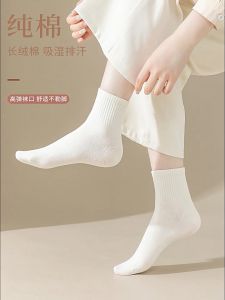 [Little B House] Breathable Short Tube Pure Cotton Solid Color Ankle Casual Socks Stoking 全棉纯色短袜 Stokin Perempuan - SK20