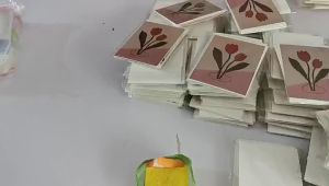 17 Sheets Ins Tulip Postcard Greeting Cards Room Wall Decor Creative Photography Props