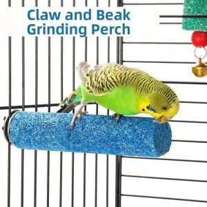 ZHANGQIN | Parrot Claw Sharpening Chewing Toy Stand Perch