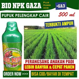 500 ml OBAT UNTUK ANAKAN PADI AGAR LEBAT DAN BANYAK NPK CAIR BIO NPK GAZA isi 500 ML Pupuk Menyuburkan Daun dan Buah Anakan Padi Obat Penyubur Akar Padi Biar Kuat di Musim Hujan Pupuk Organik Peyubur Tanaman Buah Padi Terbaik