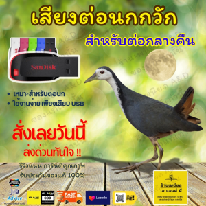 Flash Drive เสียงต่อ นกกวัก สำหรับต่อกลางคืน – คมชัด 6 ชั่วโมง ไม่มีโฆษณา | ส่งด่วน Flash Express | เก็บเงินปลายทาง