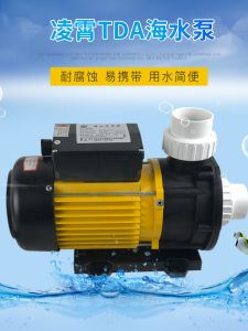 Oxygenating Massage Bath Tub Sea Water Fish Pond Circulation Pump TDATDA75 TDA100 TDA120 Engineering Plastic Electric Driven