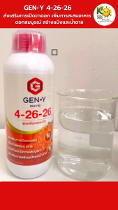ปุ๋ยน้ำเจนวาย 4-26-26 1L. (สูตรเพิ่มกรดอะมิโน) รูปแบบน้ำใส เพิ่มการสะสมอาหารเพื่อการออกดอก เปิดตาดอก ดอกสมบูรณ์ ติดผลดก