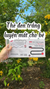 Thẻ Kích Thích Thị Giác Theo Phương Pháp Montessori - Giáo dục sớm cho trẻ sơ sinh 0-1 tuổi - Vizibook