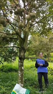 โปรยกลัง ปุ๋ยน้ำ เวิลด์แพลนท์ ไคโตซาน World Plant Chitosan + สารเพิ่มประสิทธิภาพ คู่หูมหัศจรรย์