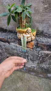 💥PHAO CỎ LAU CAO CẤP BULLE L01-365cm-tải chì 105g LH 02-38cm-tải 12g