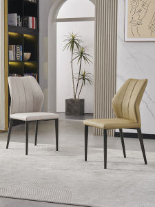 DUOBAOFUXING | designer style luxurious modern minimalist Italian style dining chair