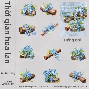 20 Miếng Dán Văn Phòng Phẩm Chủ Đề Cây 140*96mm Vân Gỗ Kraft Không Viền 6 Kiểu Gói 1 Hoặc 3 Miếng Dùng Cho Giáo Dục
