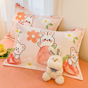 Vỏ Gối Nhung San Hô Sữa 2 Chiếc 48x74cm Vỏ Lót Lông Cừu Mùa Đông Cho Trẻ Em Vỏ Lót Lông Cừu San Hô Sữa Vỏ Lót Lông Cừu