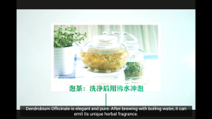 Dendrobium Officinale (Special Grade) / 铁皮石斛 (特级)