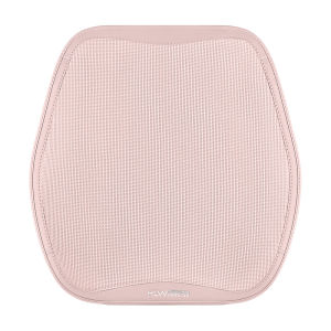 ZHONGMIAO | All-Season Summer Suitable Premium Rear Ice Silk Ultra-thin Seat Cushion