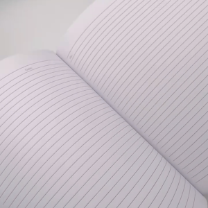 College Writing Notebook Homework Notebook 38 Pages Notebook Student Study Supplies