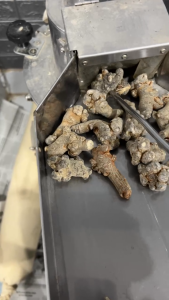 Bột Tam Thất Bắc Hà Giang - Hàng Chất Lượng Củ Loại 1- Bột xịn Không Pha - Tốt Cho người ốm yếu suy nhược cơ thể 100gr