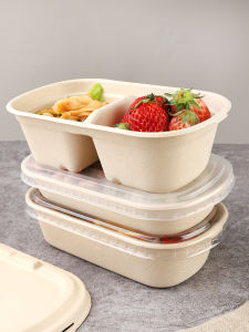 Degradable Single Double Compartment Takeout Lunch Box Picnic Salad Container Commercial Use Disposable Packaging Box
