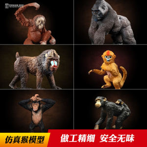Tongde Artificial Monkey Model Childrens Primate Wild Animal Toy Monkey Chimp Golden Monkey Ape Macaque