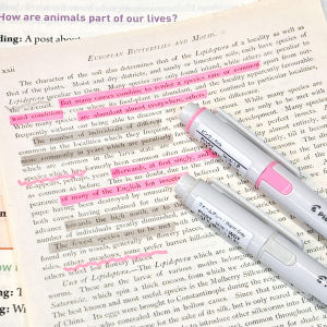Pilot | Quick Drying Dual Tip Colored Highlighter