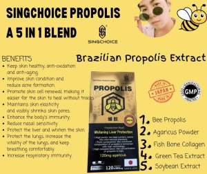 [🇸🇬LOCAL SG] SINGCHOICE PROPOLIS | Supplement | Brazilian Bee Propolis Extract/Antioxidant - 385mg*120 Capsules/Bottle | Free 🚚