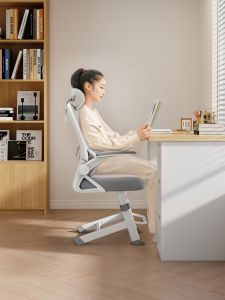 Samedream Learning Computer Chair Ergonomic Adjustable Height Writing Desk Chair Home Use Comfortable Mesh Fabric Chair