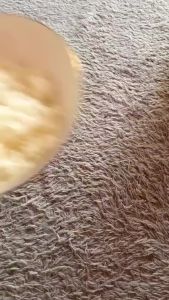 Cetakan Nasi Bento Bentuk Donat Bulat Onigiri Sushi Kreatif Anti Lengket Riceball bola nasi