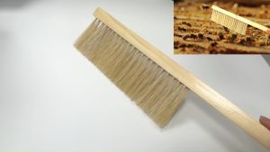 เลี้ยงผึ้ง 2แถว สำหรับกระบวนการปัดผึ้ง และเลี้ยงผึ้ง ทำความสะอาดผึ้ง แปรงปัดผึ้ง แปรงขนม้า 2แถว และ แถวเดี่ยว