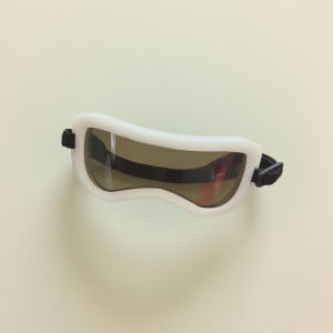 Labubu Original Rainbow Snowboard Cool Sportswear Doll Clothes Stand Pose Figure Trendy Plaything Collectible 15cm Size