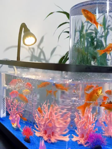 Aquarium Desktop Fish TankStarter Kit Desk AquariumAS Plastic Aquarium with LED Light and Water Pump for Kids