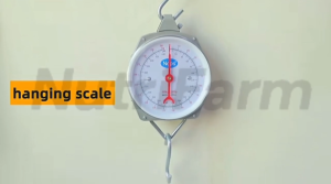 Hanging scale (with hook)