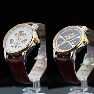 Dessio Automatic Mechanical Watch for Men Self-Winding Hollow Stainless Steel Case Leather Strap Luminous Sports Luxury Watches