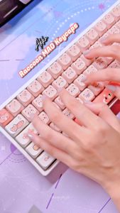 AKKO Keycap set – Raccoon MAO (PBT Dye-subbed / MAO profile / 142 nút)_Mới hàng chính hãng
