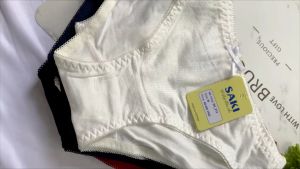 Quần Lót Cotton Trơn Mềm Mịn Hàng Việt Nam VNXK
